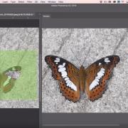 Adobe Photoshop - baaskursus, 40 ak.tundi (vene keeles)
